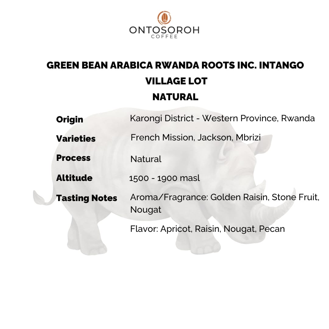 ARABICA RWANDA ROOTS INC. INTANGO - VILLAGE LOT - NATURAL PROCESS - Image 2
