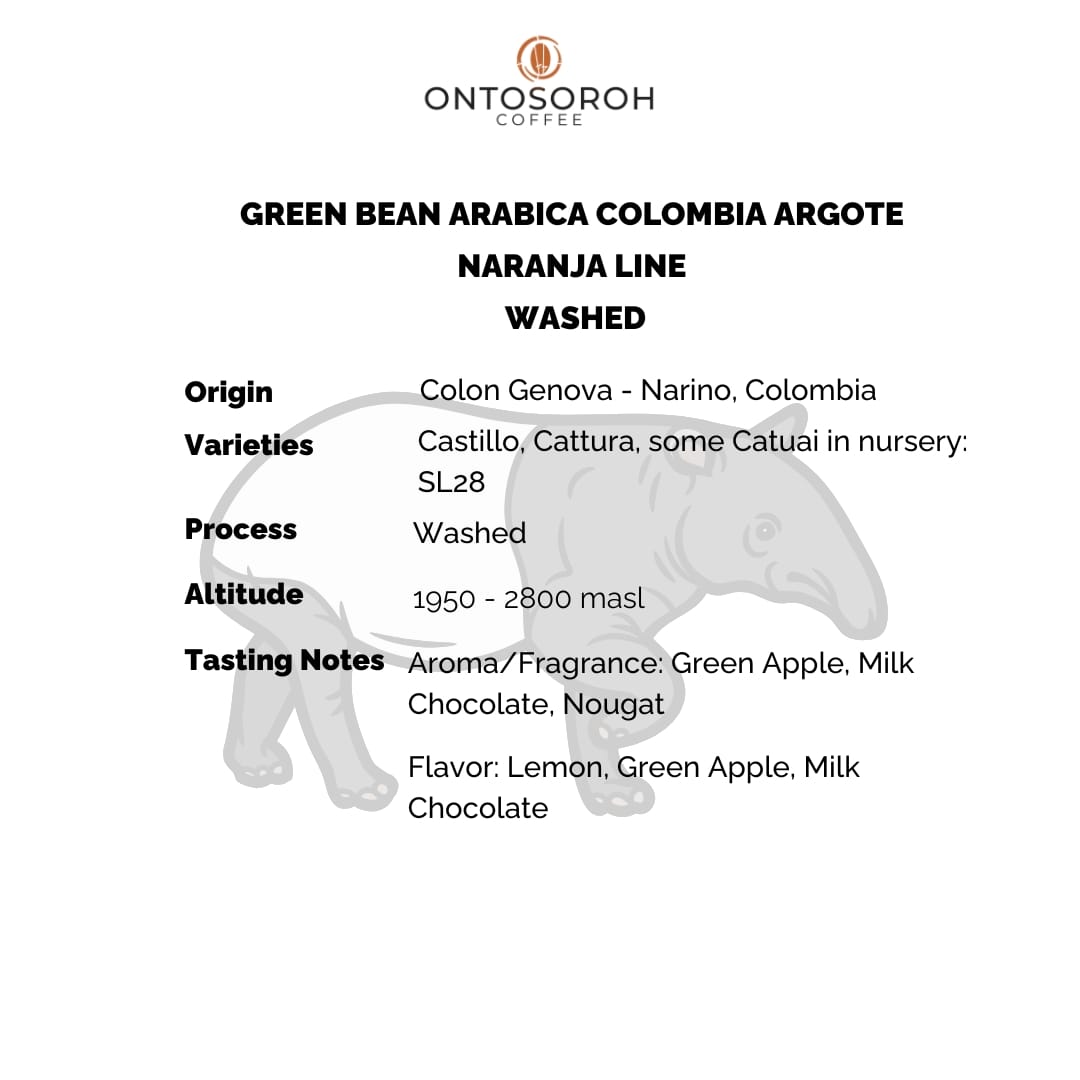ARABICA COLOMBIA ARGOTE - NARANJA LINE - WASHED PROCESS - Image 2