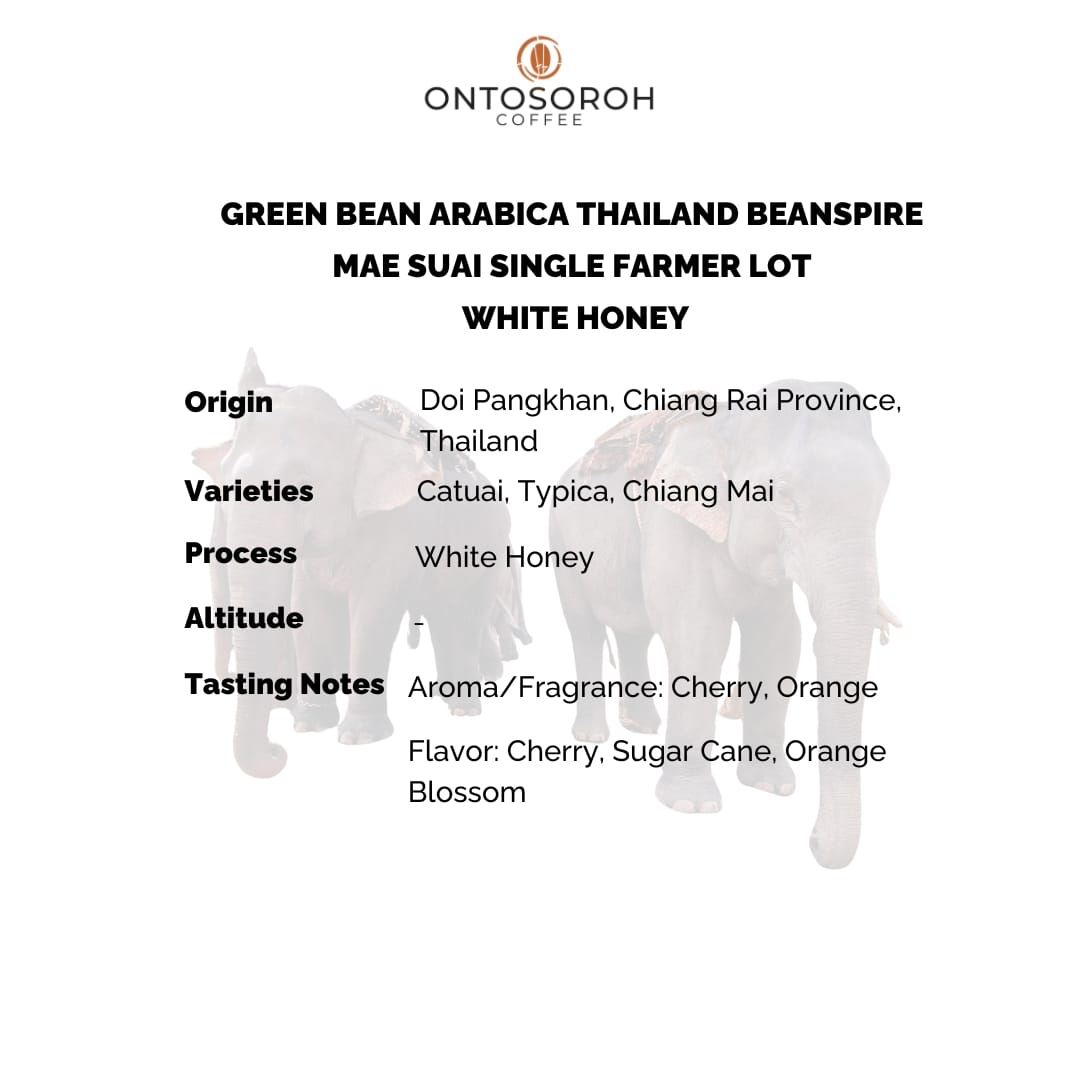 ARABICA THAILAND BEANSPIRE - MAE SUAI SINGLE FARMER LOT - WHITE HONEY PROCESS - Image 2