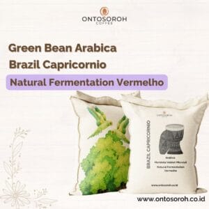 ARABICA BRAZIL CAPRICORNIO - MARISTELA VALDEIR MICROLOT - NATURAL FERMENTATION VERMELHO