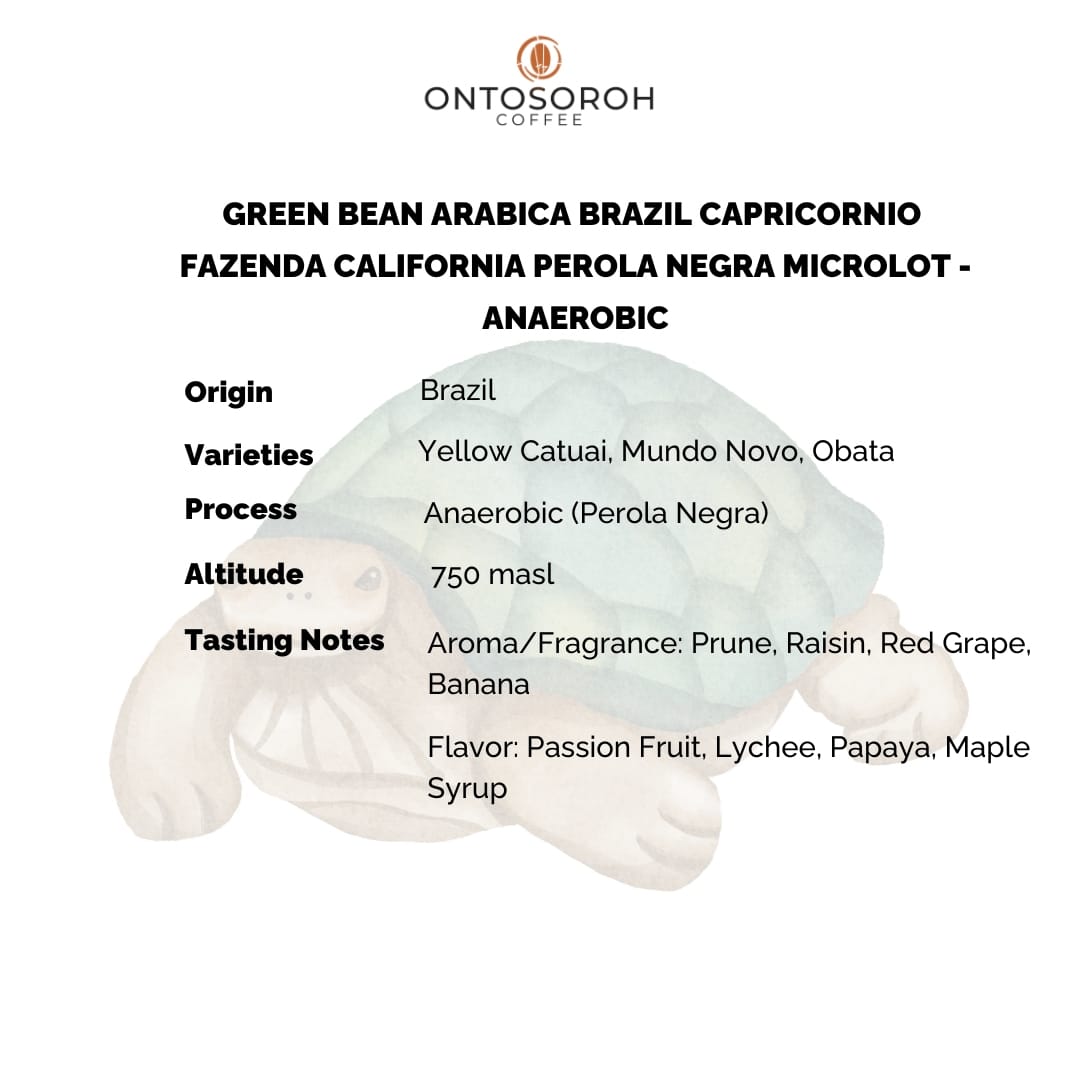 ARABICA BRAZIL CAPRICORNIO - FAZENDA CALIFORNIA PEROLA NEGRA MICROLOT - CATUAI - ANAEROBIC - Image 2